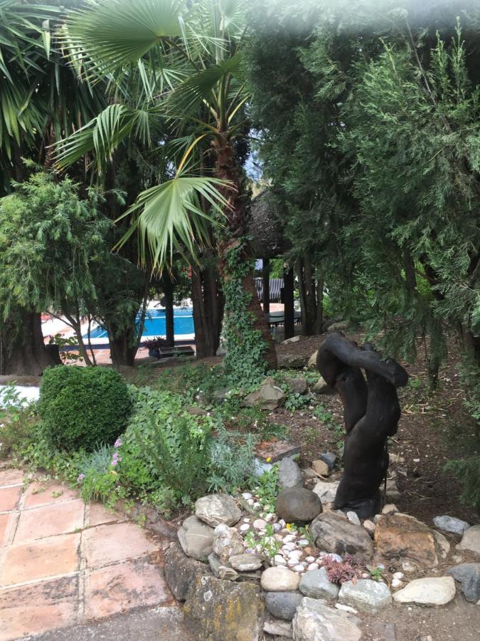 Finca El Rio, The Studio Self Catering With Pool And Hydrotherapy Jacuzzi Set In Beautiful Gardens, Guaro Dış mekan fotoğraf